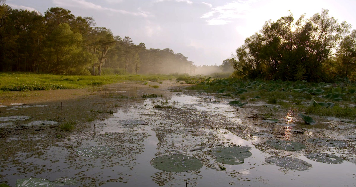 Killing Fields Soundtrack Complete Song List Tunefind